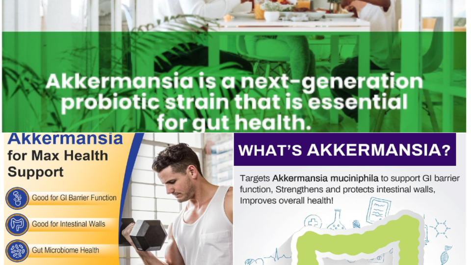 Unlock Your Gut Health Potential: The Top 3 Akkermansia Supplements of 2024!